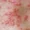 scabies