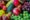 Food Vegie and fruit